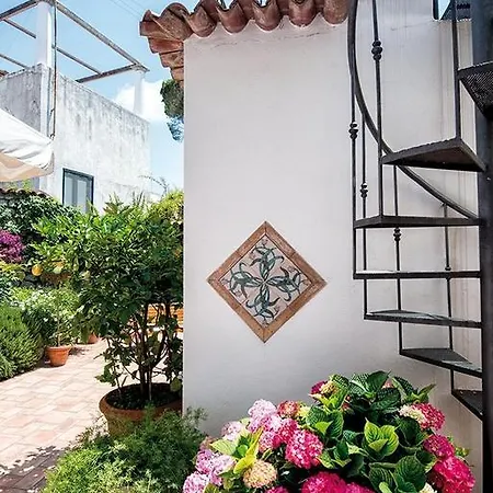 Bed and breakfast Il Vicolo 4*