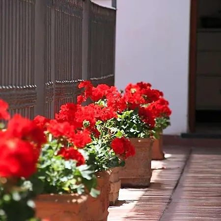 Bed & Breakfast Il Vicolo 4*