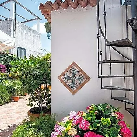 Il Vicolo Bed & Breakfast