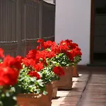 Bed & Breakfast Il Vicolo Anacapri (Isola di Capri)