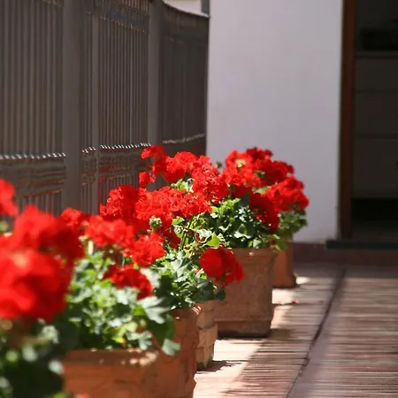 住宿加早餐酒店 维考罗住宿加早餐酒店 阿纳卡普里