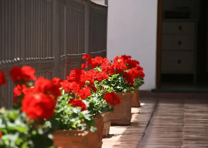 Frühstückspension Il Vicolo Anacapri (Isola di Capri)
